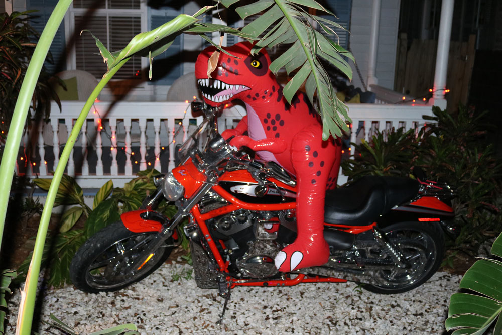 Nerd Party 2017 photo - Duval Street, Key West